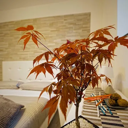 Terra Mia بومبيي